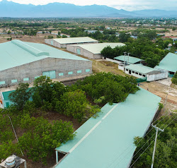Dịch vụ nhà xưởng